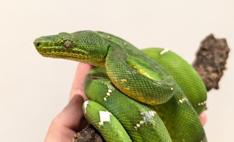 PXL_20250920_111706867~2