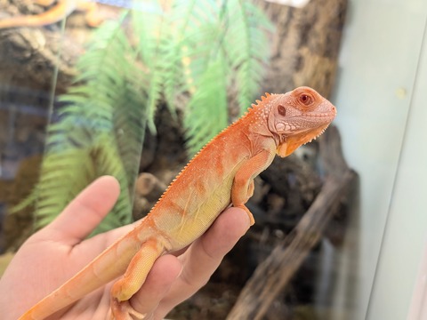 PXL_20250919_070254911~2