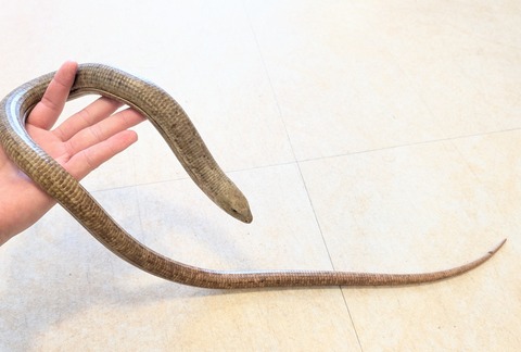 PXL_20250520_050728019~2