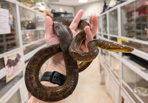 PXL_20250107_113653984~2