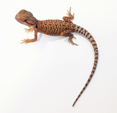 PXL_20250716_082348258~2