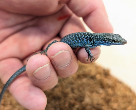 PXL_20250707_051531395~2