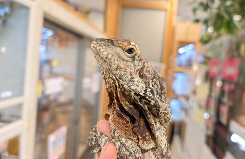 PXL_20250902_082959885~2