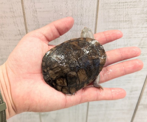 PXL_20250502_105509914~2