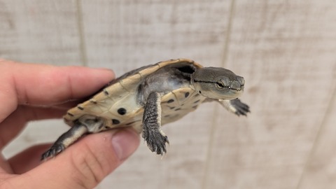 PXL_20251121_082931621