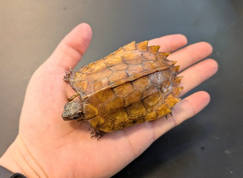 PXL_20250106_095450064