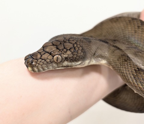 PXL_20250707_111359004~2