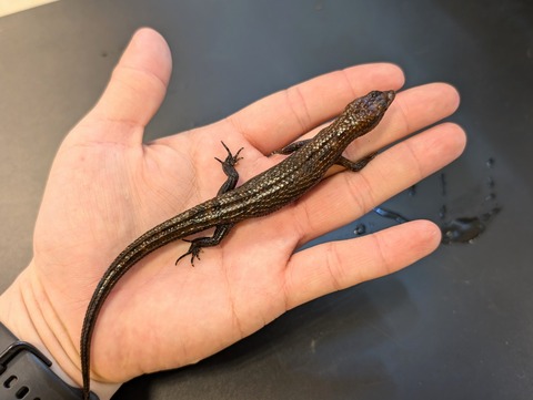 PXL_20241228_094541902~2