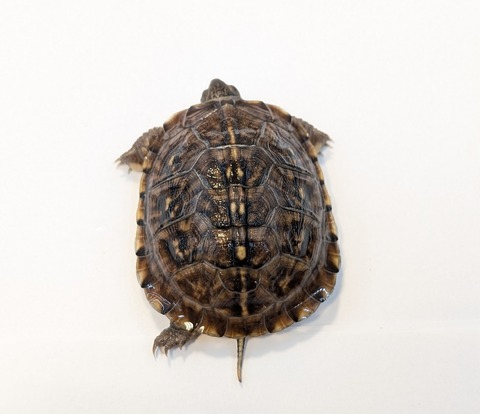 PXL_20251103_102804296~2