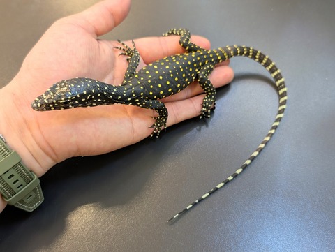 PXL_20250130_084859503~2