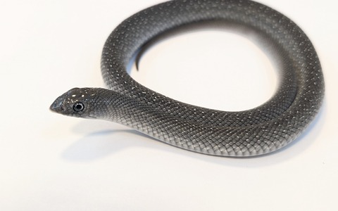 PXL_20251022_092740114~2