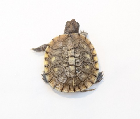 PXL_20251103_101332786~2