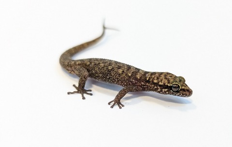 PXL_20250401_100608520~2