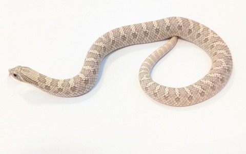 PXL_20251103_103339868~2