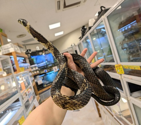 PXL_20241228_114428259~2