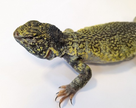 PXL_20251004_085740474~2