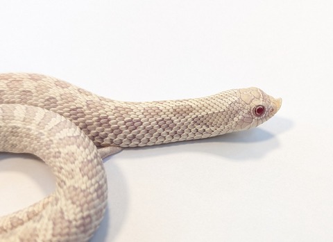 PXL_20251211_103056787~2