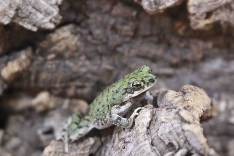 20220714-IMG_6080