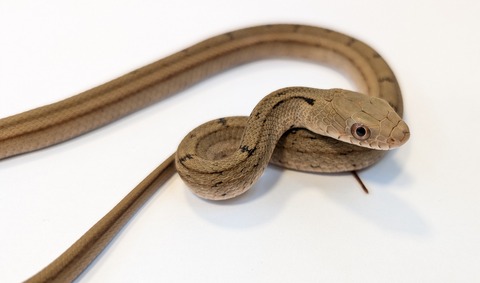 PXL_20251027_104627174~2