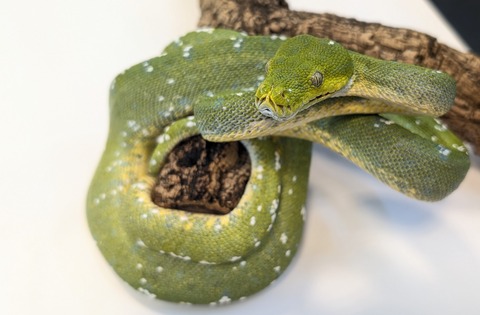 PXL_20251022_094058213~2