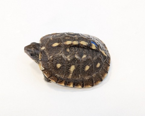 PXL_20251103_101447398~2