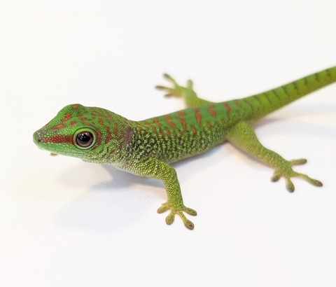 PXL_20250424_084643316~2