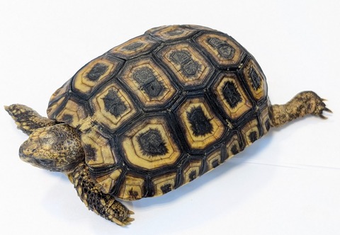 PXL_20250502_103216647~2