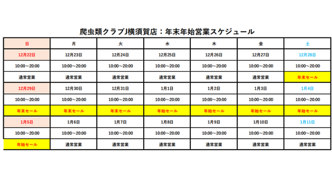 Screenshot_20241220-182749~3