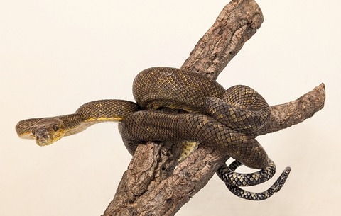 PXL_20260125_095424183~2