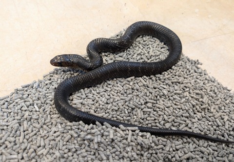 PXL_20241228_113312323~2