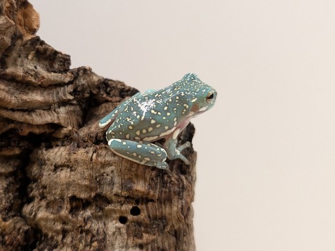 PXL_20250620_132942365~2