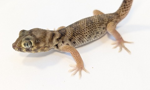 PXL_20251104_110036459~2