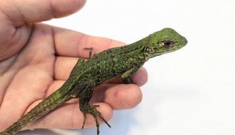 PXL_20250820_105910628~2