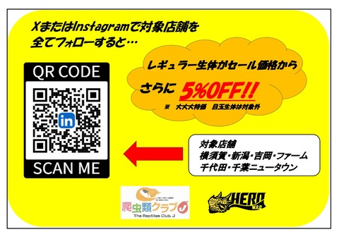 SNS　セールPOP_page-0001