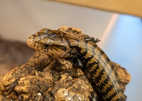 PXL_20260103_101433291~2