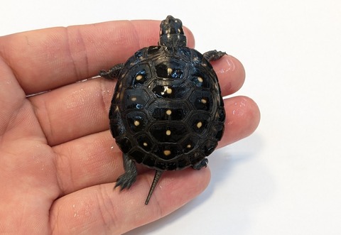 PXL_20251103_102143319~2