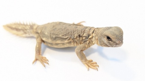 PXL_20250920_100244381~2