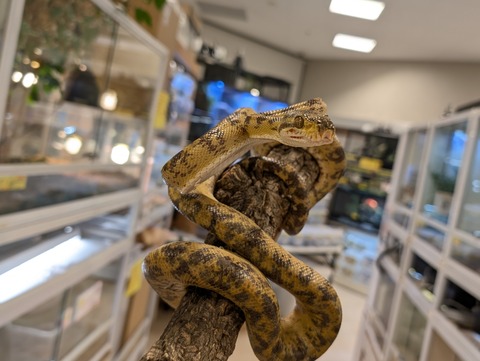 PXL_20250315_110430807