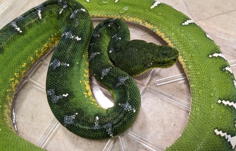 PXL_20260209_095735184~2