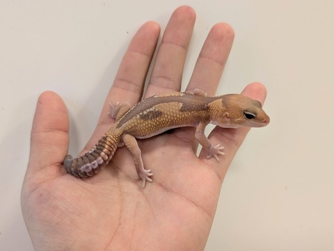 PXL_20241228_102711279~2