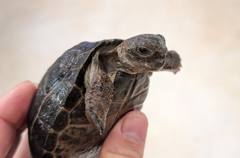 PXL_20260129_080344913~2