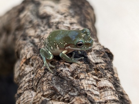 PXL_20250716_104049984~2