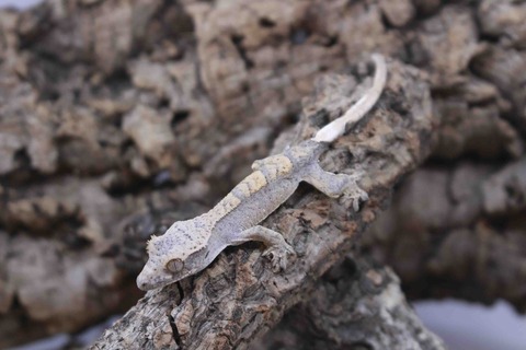 20220714-IMG_5986