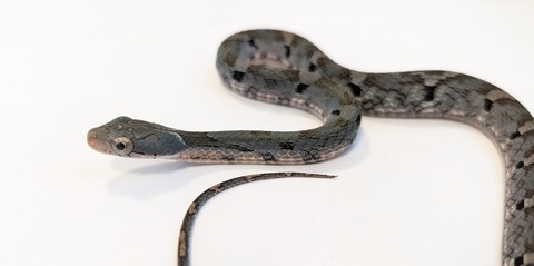 PXL_20250725_095235825~2