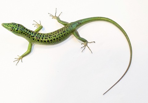 PXL_20250820_111733273~2