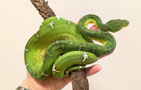 PXL_20250920_111715719~2