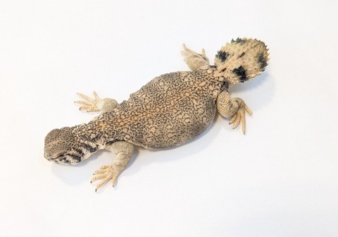 PXL_20250920_100056076~2