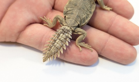 PXL_20250920_100255140~2