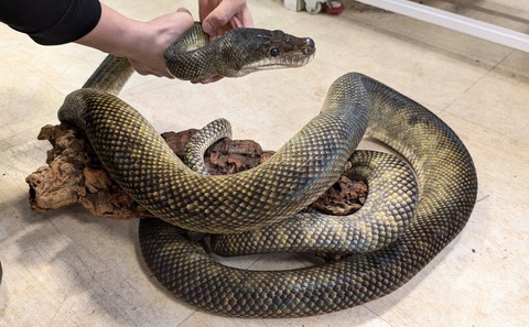 PXL_20260102_095738402~2