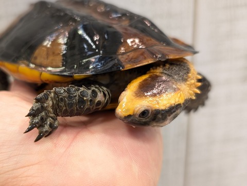 PXL_20250502_110242328~2